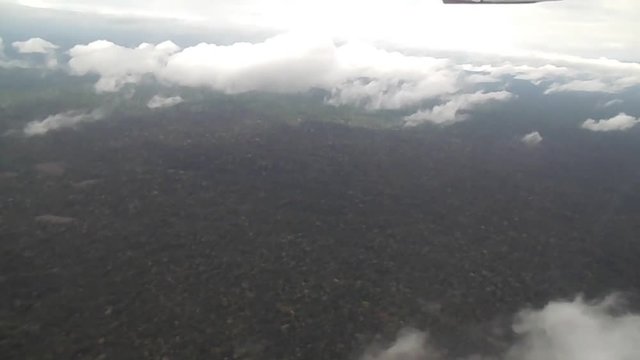 Selva amaz&oacute;nica vista desde avioneta en pleno vuelo