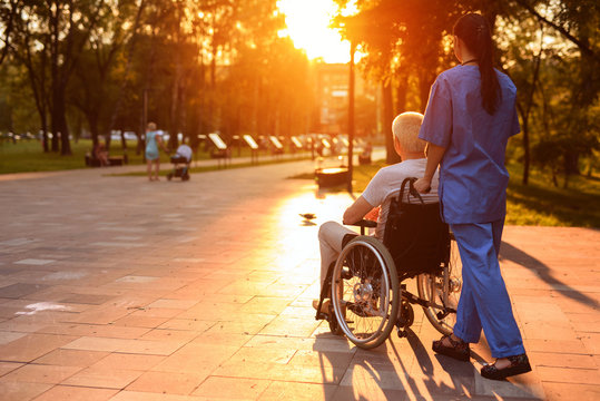 A nurse and an old man who sits in a wheelchair strolling in the park at sunset