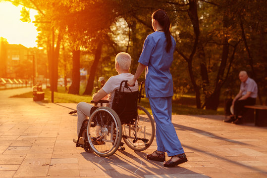 Nurse and old man who sits in a wheelchair watching the sunset in the park