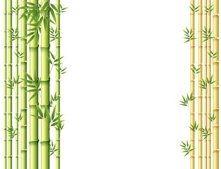 Fototapeta na wymiar Background design with green and golden bamboo stems