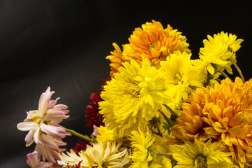 bouquet of colorful autumn flowers