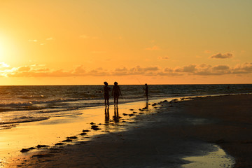 Fototapeta premium Sunset Silhoutte
