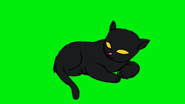 Cat resting  - green screen - animation