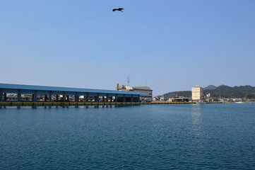 仙崎漁港