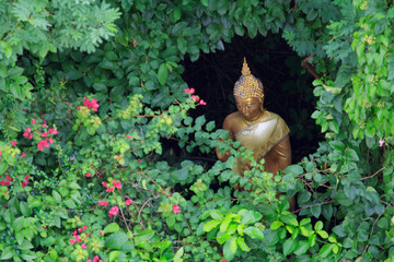 golden buddha statue in hole tree