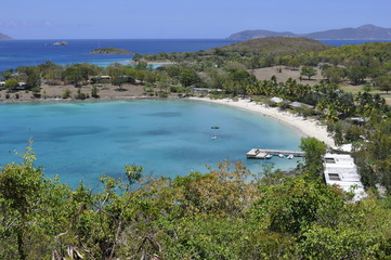Fototapeta premium Beach in St. John, US Virgin Islands