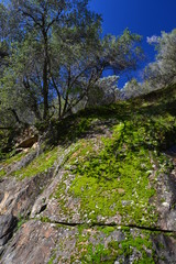 Grün und blau