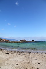 Fototapeta na wymiar Tsumekizaki beach in Shimoda, JAPAN