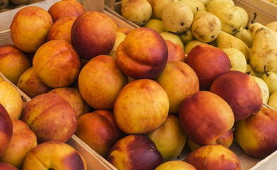 Fototapeta na wymiar Ripe nectarines and pears on the counter of the farm market