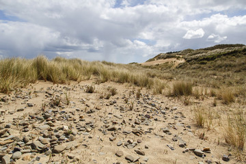 Dune grasses on a deserted beach in Wales