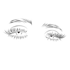 Beautiful woman eyes with long eyelashes vector illustration