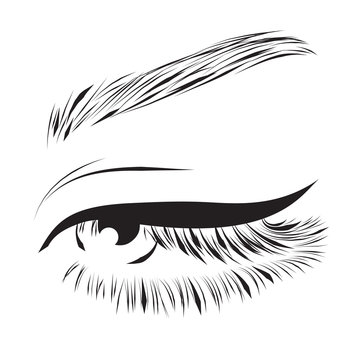 Beautiful woman eye with long eyelashes and eyeliner vector illustration