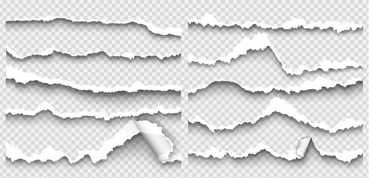 set of torn paper on transparent background