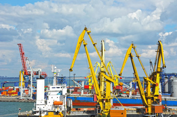 Bulk cargo ship under port crane