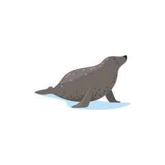 Harbor seal, Arctic fauna species vector Illustration © topvectors