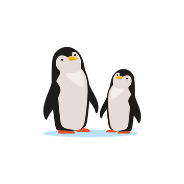 Couple of penguins sitting on an ice, Arctic fauna species vector Illustration