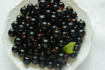 Currant berries on a white plate and white tablecloth