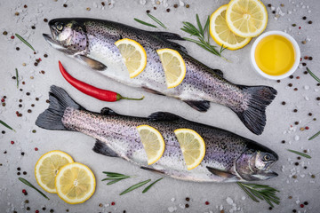 Fresh fish. Trout with salt, lemon and spices on gray background. Cooking fish with herbs. Top view