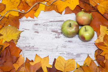 Colorful and bright autumnal background, autumn leaves, on a shabby white wooden background with three green and red apples. Autumn concept