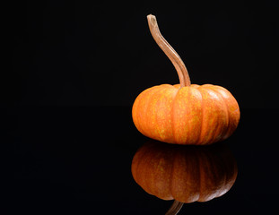 Pumpkin on black