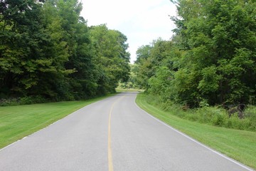 Fototapeta premium The empty park road in the tree area.