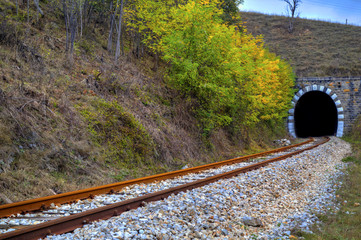 Railroad tunnel in the mountain and colorful autumn forest