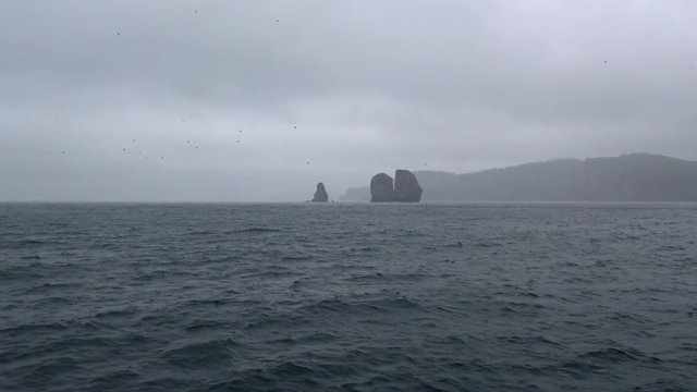 Морское сафари путешествие вдоль полуострова Камчатка. Острова Три Брата.