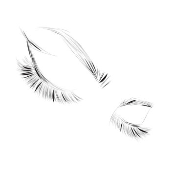 Vector illustration closed woman eyes with long eyelashes