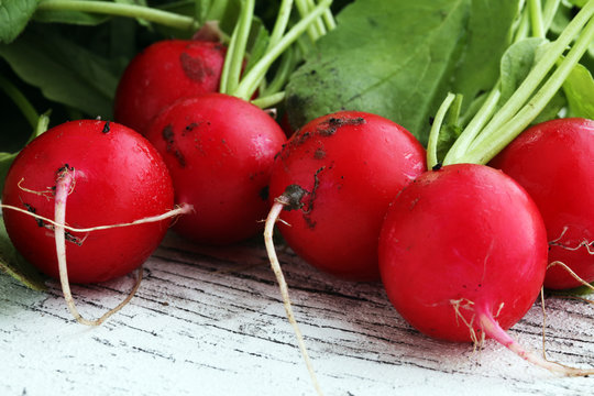 Radish. Red fresh radish. Fresh Vegetable on white table.
