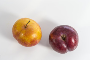 plum on a white background big red and yellow
