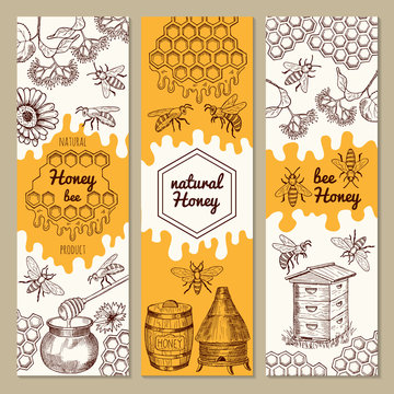 Banners with honey product pictures. Bee, honeycomb. Vector illustrations