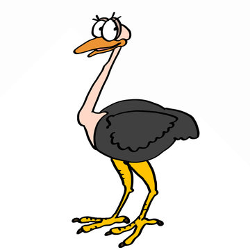 recommend clip art: cute smiling ostrich and white background