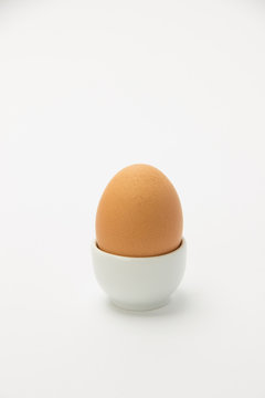 Beautiful brown chicken egg on a stand on a white background