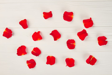 Red rose petals on white background. Bright flowers petals on white woden table. Symbol of love and romance. Valentine day celebrations conept.