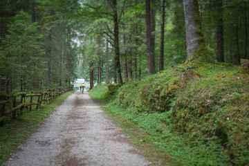 Tilt shift effect of road with two cyclists in the distance, Cansiglio forest, Veneto, Italy