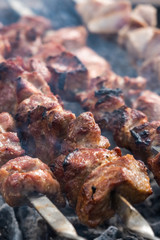 Cooking shashlik in the forest. Grilling pork on coal with smoke, mtsvadi, barbecue