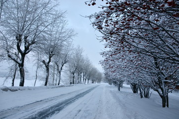 Зимний Архангельск, набережная
