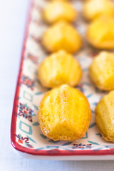 French desserts that have the form of a shell. Madeleine close-up on a very beautiful hand painted colored dish.