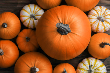 Pumpkins on wooden background