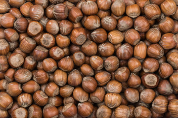 Hazelnuts forming a background 