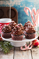 Christmas chocolate peppermint cupcakes