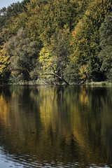 Fototapeta na wymiar Autumn forest on the lake, Poland.