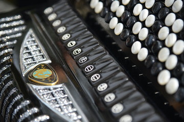 accordion detail