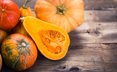 Fresh and colorful pumpkins and squashes 