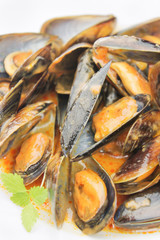 Mussels soup closeup with copy space