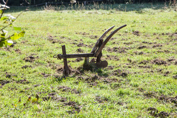 Pflug auf Wiese