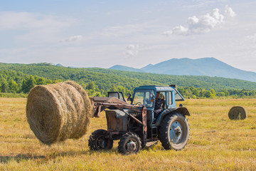 Obraz premium Hay cleaning. The tractor with the lift assemble in a field the baled hay in rolls