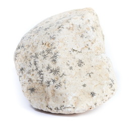 Single natural stone on white background, close-up