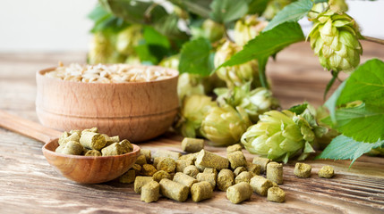 Barley in a wooden bowl, fresh and granulated hop in a spoon on a rustic table. Concept for craft beer and brewing