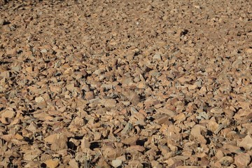 Rocks on a dry field